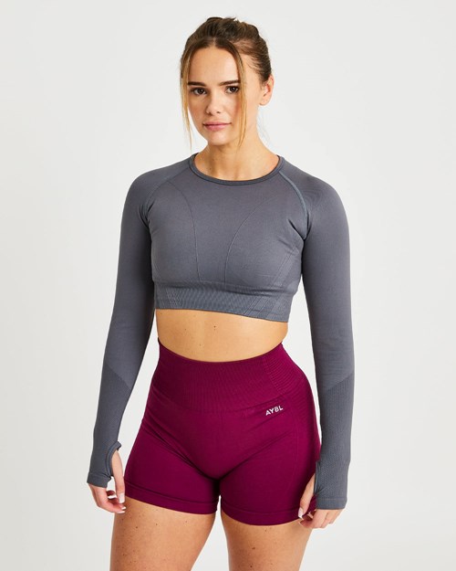 AYBL Balance V2 Seamless Long Sleeve Crop Top Grau | 936-ZINGQO