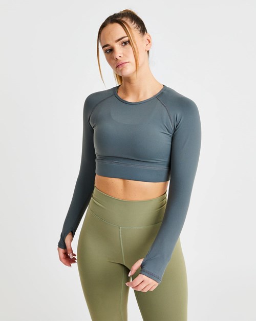 AYBL Core Long Sleeve Crop Top Grau | 381-OSQZEL