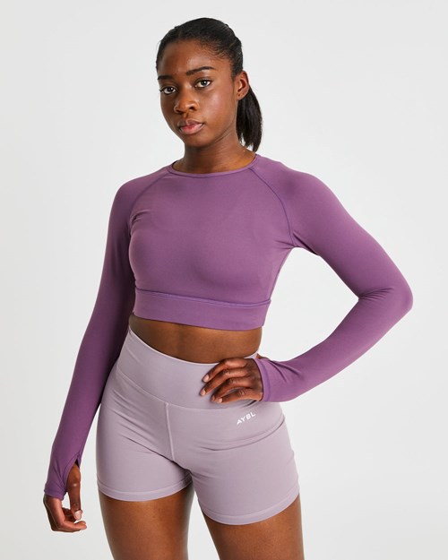 AYBL Core Long Sleeve Crop Top Lila | 493-WHTMJK