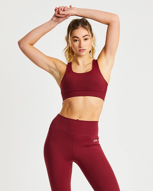 AYBL Core Sports Bra Mauve Wine | 796-TNLDRI