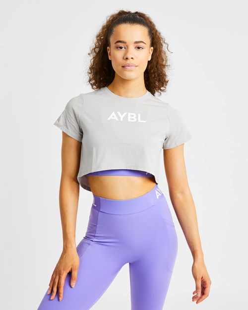 AYBL Crop T Shirt Grau | 439-TMHSOZ