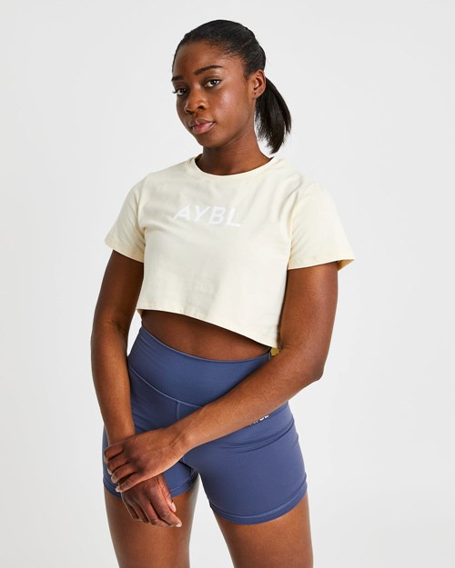 AYBL Crop T Shirt Nude | 308-XJKHGV