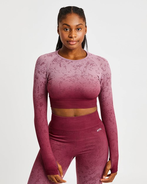 AYBL Flare Seamless Long Sleeve Crop Top Plum | 231-AQNYPJ