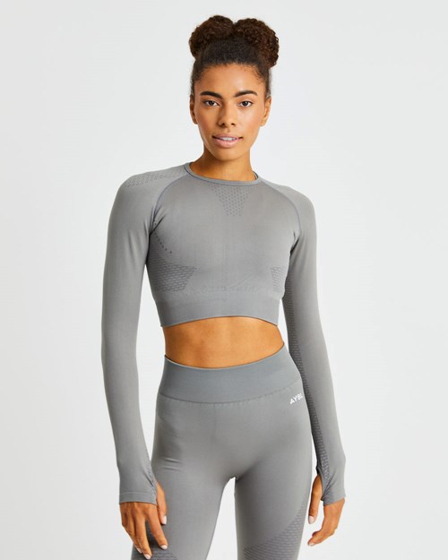 AYBL Ignite Seamless Long Sleeve Crop Top Grau | 305-EYKFXL