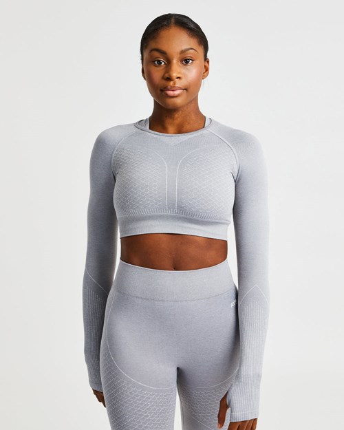 AYBL Impact Seamless Long Sleeve Crop Top Grau | 684-MJHWRK