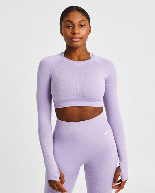 AYBL Impact Seamless Long Sleeve Crop Top Lilac | 903-IGCVAS