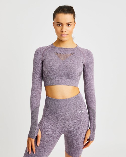 AYBL Motion Seamless Long Sleeve Crop Top Lila | 061-COXTSW