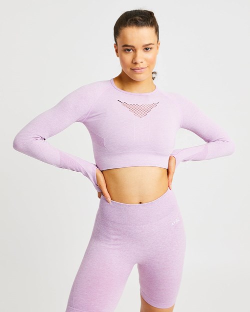 AYBL Motion Seamless Long Sleeve Crop Top Rosa | 409-ZPQAMW