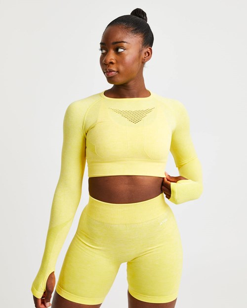 AYBL Motion Seamless Long Sleeve Crop Top Gelb | 578-ACWHZB