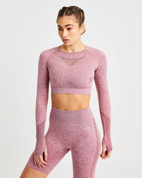 AYBL Motion Seamless Long Sleeve Crop Top Rot | 657-YLEQHR