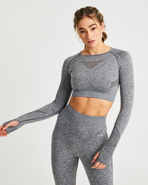 AYBL Motion Seamless Long Sleeve Crop Top Grau | 890-TIYJKC