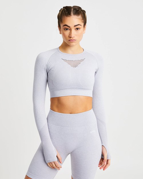 AYBL Motion Seamless Long Sleeve Crop Top Hellgrau | 901-TLYVBG