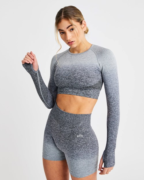 AYBL Pulse Ombré Seamless Long Sleeve Crop Top Grau | 194-BFMHXY