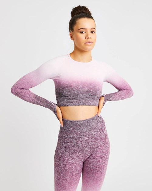 AYBL Pulse Ombré Seamless Long Sleeve Crop Top Plum | 741-YPLJHA