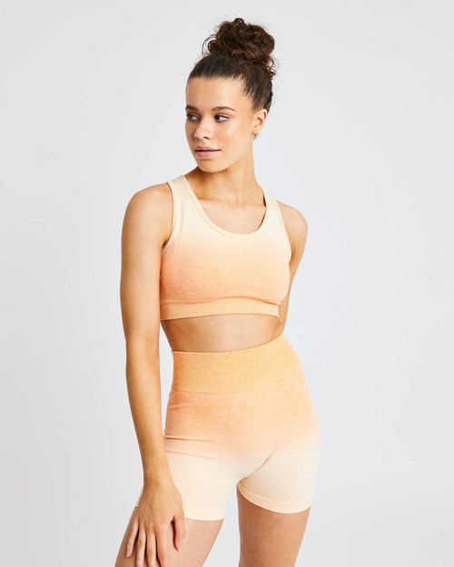 AYBL Pulse Ombré Seamless Sports Bra Orange | 358-PNWHVM