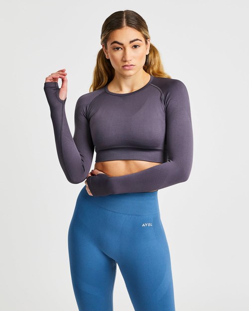 AYBL Reform Seamless Long Sleeve Crop Top Charcoal | 401-UEZOXD