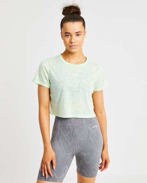 AYBL Velocity Crop T Shirt Mintfarben | 012-JLAGSQ