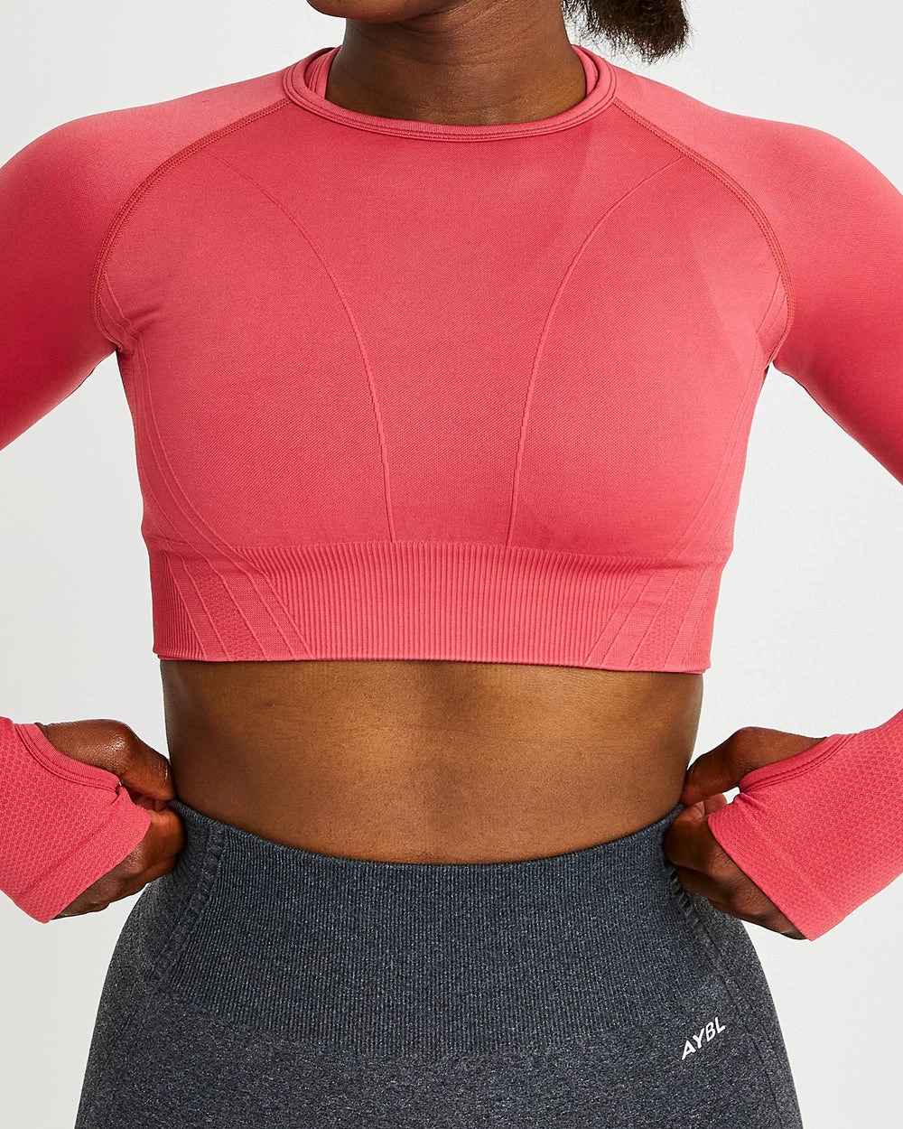 AYBL Balance V2 Seamless Long Sleeve Crop Top Rosa | 175-DVQRXN