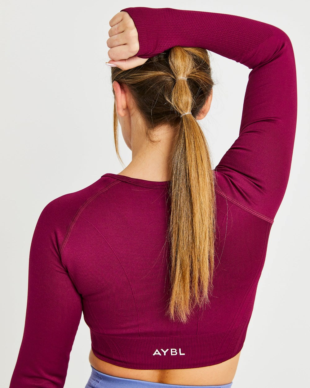 AYBL Balance V2 Seamless Long Sleeve Crop Top Lila | 438-QFLJDN