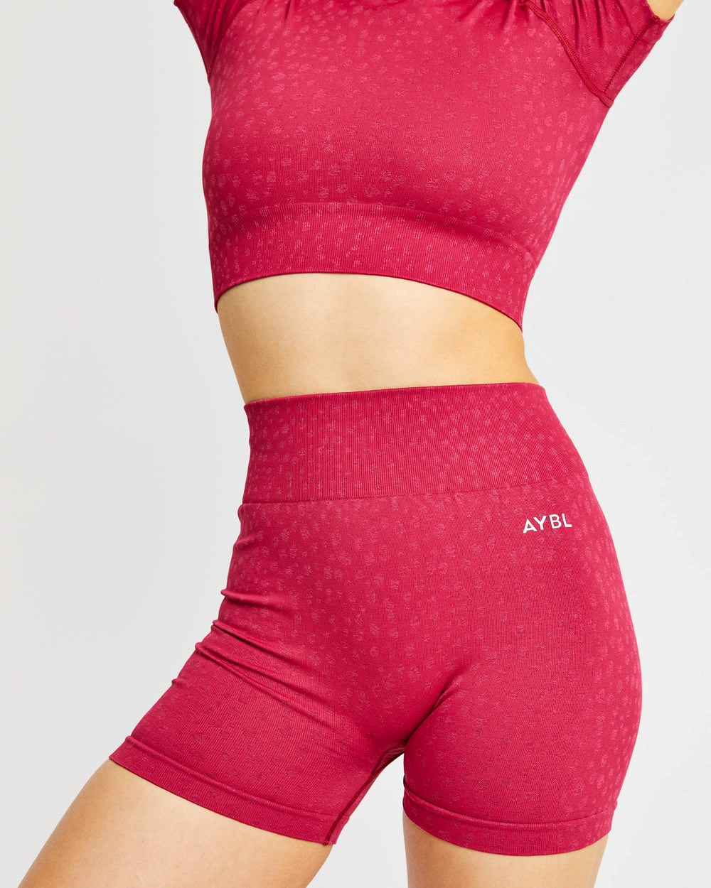 AYBL Evolve Speckle Seamless Crop Top Raspberry | 691-OWUNLY