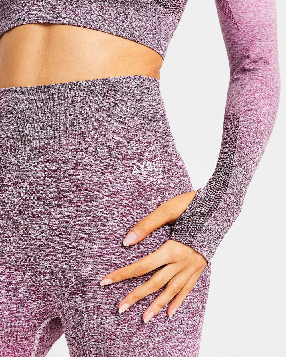 AYBL Pulse Ombré Seamless Leggings Plum | 032-YZSCDO