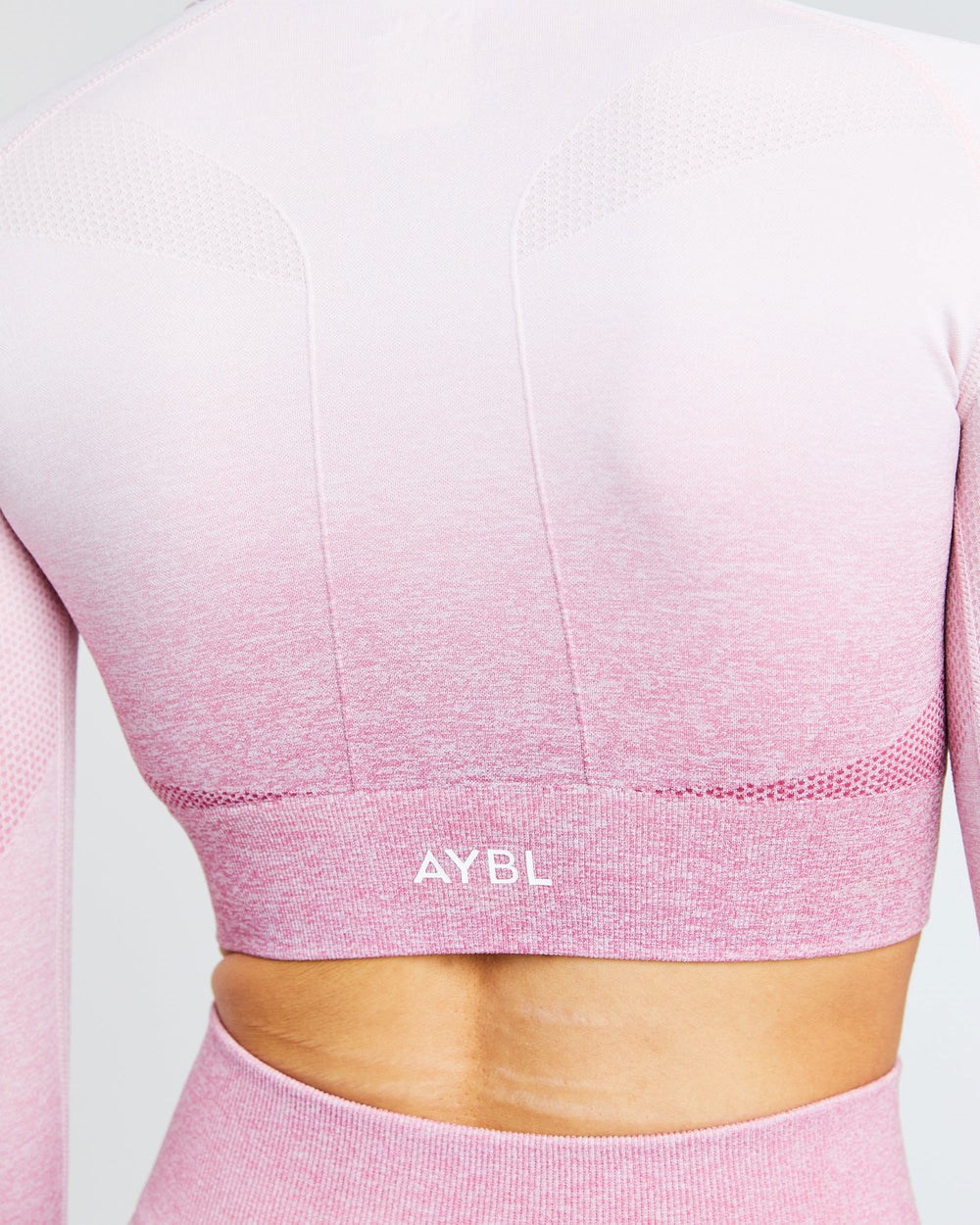 AYBL Pulse Ombré Seamless Long Sleeve Crop Top Rosa | 367-AEKFSJ