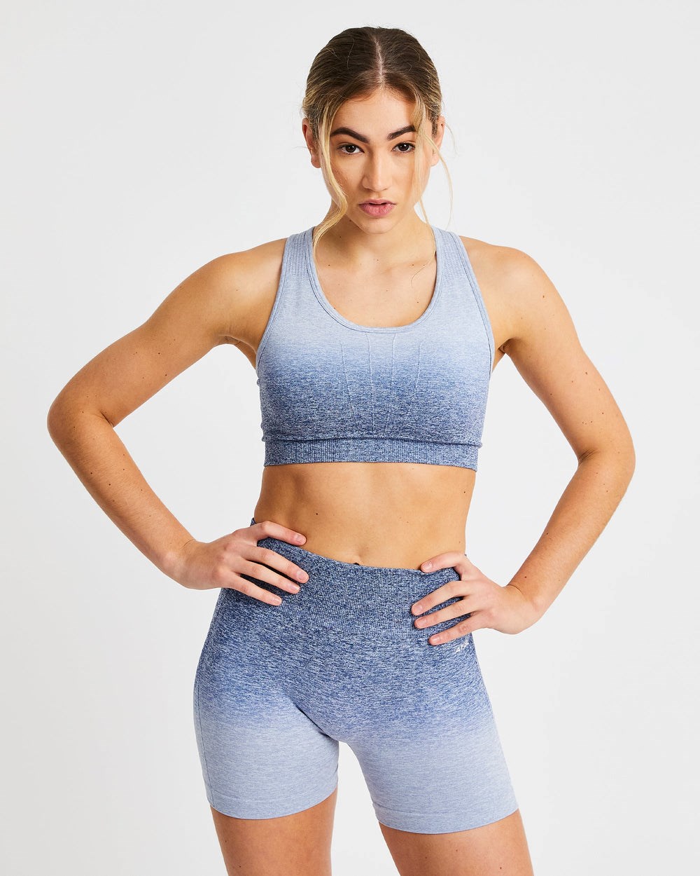 AYBL Pulse Ombré Seamless Sports Bra Navy | 497-IBQGFD